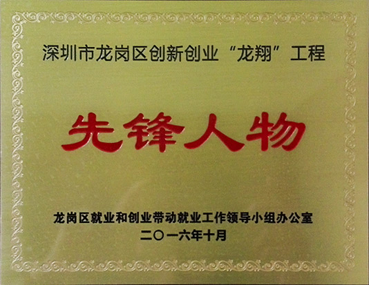 深圳市龙岗区创新创业龙翔工程先锋人物